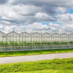 บ้านเรือนกระจก