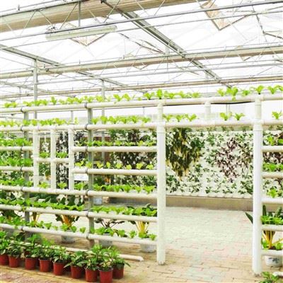 Smart Glass Greenhouse Farming